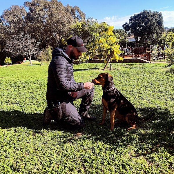 InstitutDog06 – Éducateur canin & comportementaliste - photo 1