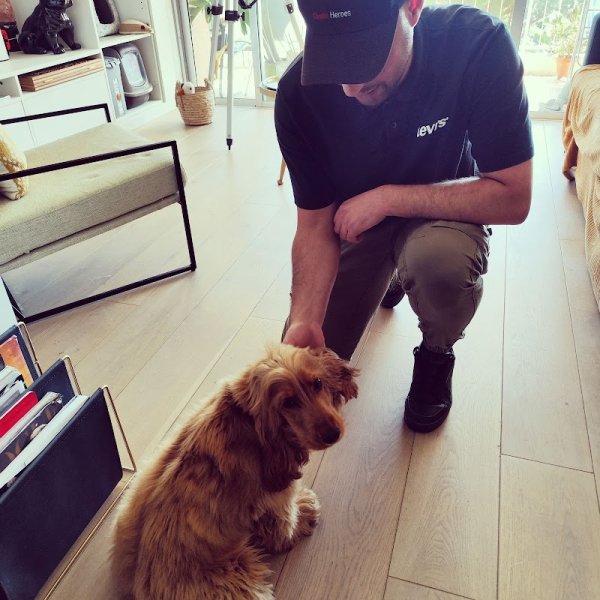 InstitutDog06 – Éducateur canin & comportementaliste - photo 3