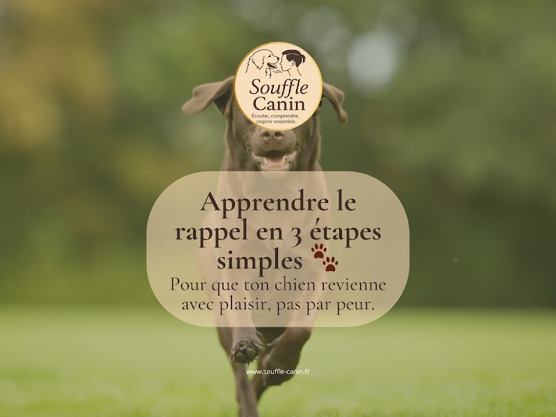 Souffle Canin - photo 1
