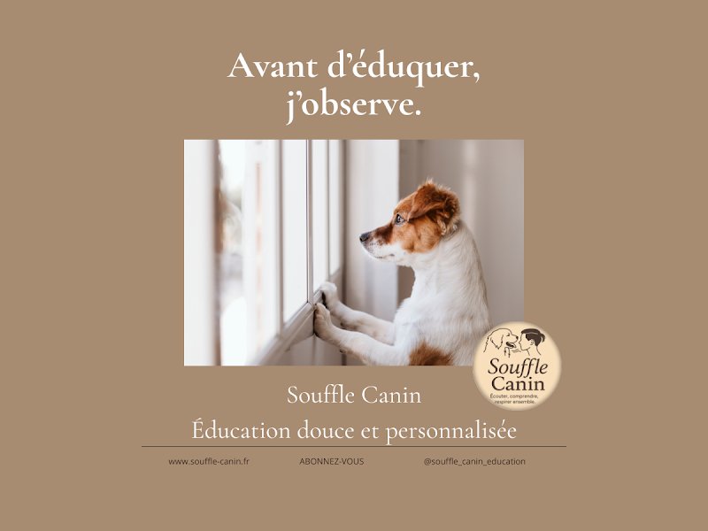 Souffle Canin - photo 2