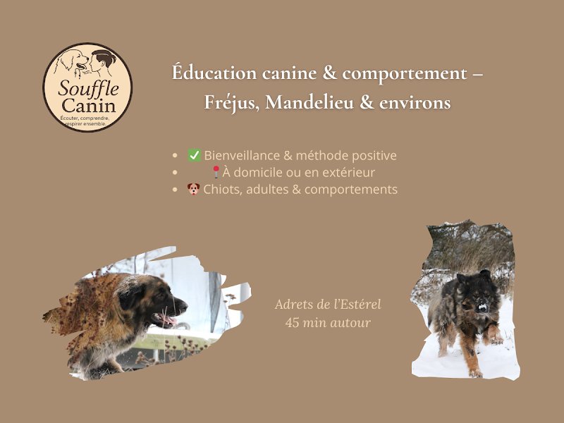 Souffle Canin - photo 3