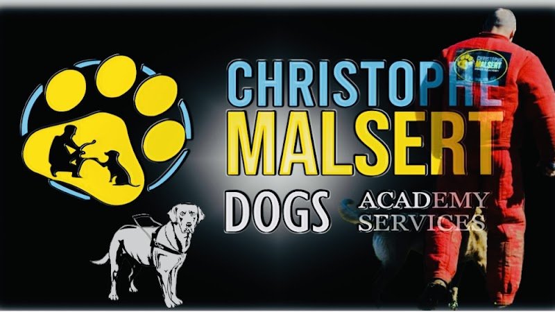 DOGS ACADEMY & SERVICES - photo 1