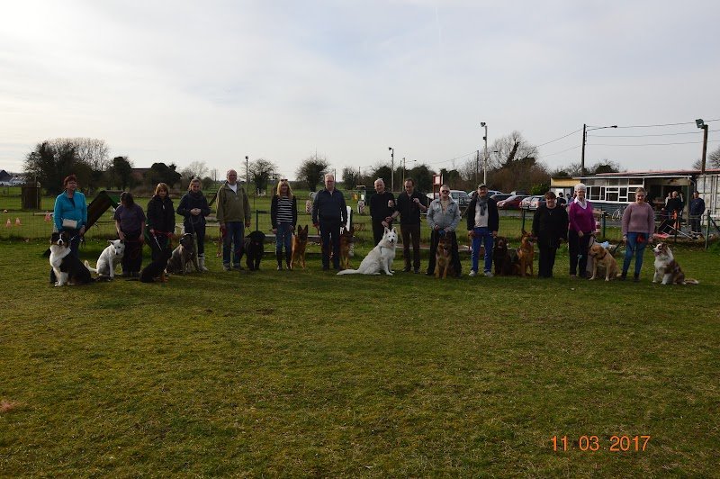 Club Canin - Mons Drago Canis Education Canine - photo 2