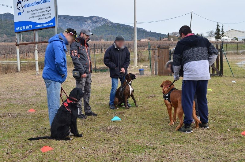 Centre Manosquin d'Education Canine