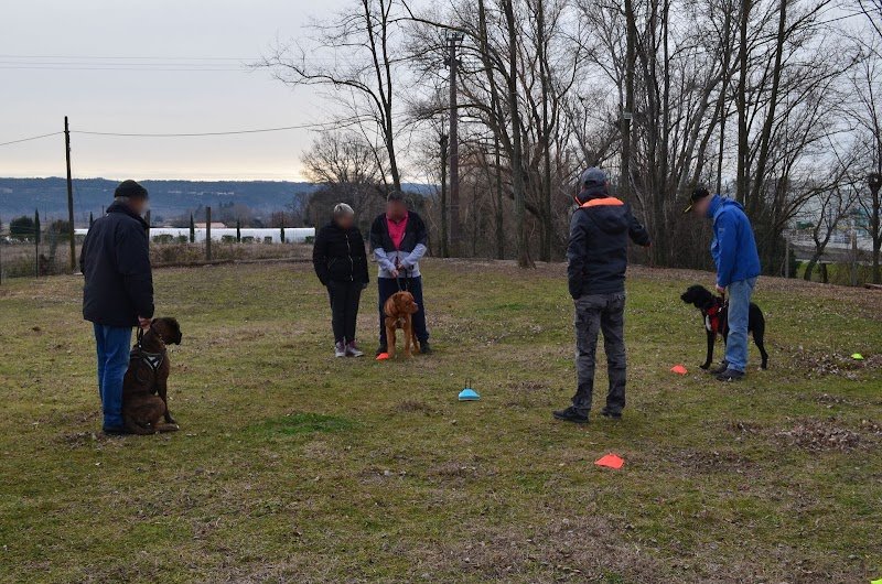 Centre Manosquin d'Education Canine - photo 2