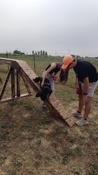 Dog Walk Campus - photo 2