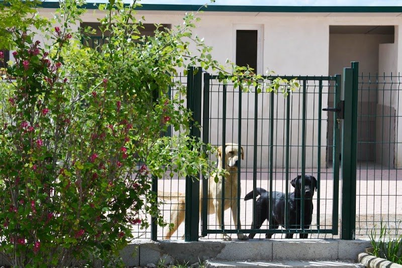 Pension Canine du Domaine de la Vallée de l'Arc - photo 1