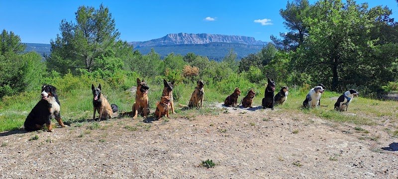 Centre Canin Aix Fuveau. Nathalie Venys