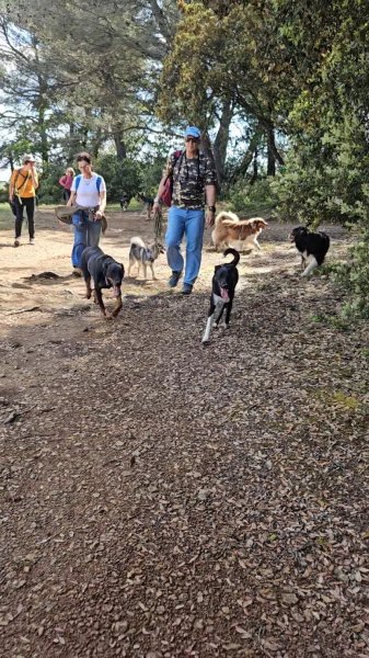 Centre Canin Aix Fuveau. Nathalie Venys - photo 3