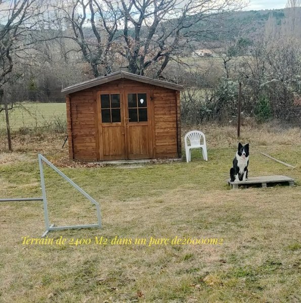 EDUCATION CANINE. Jean-Luc Agostini.04150 Revest des Brousses. - photo 3