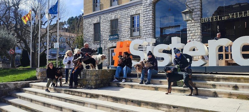 Rossi Nathalie - Education canine et comportementaliste 04 Provence Alpes côte d'azur - photo 1
