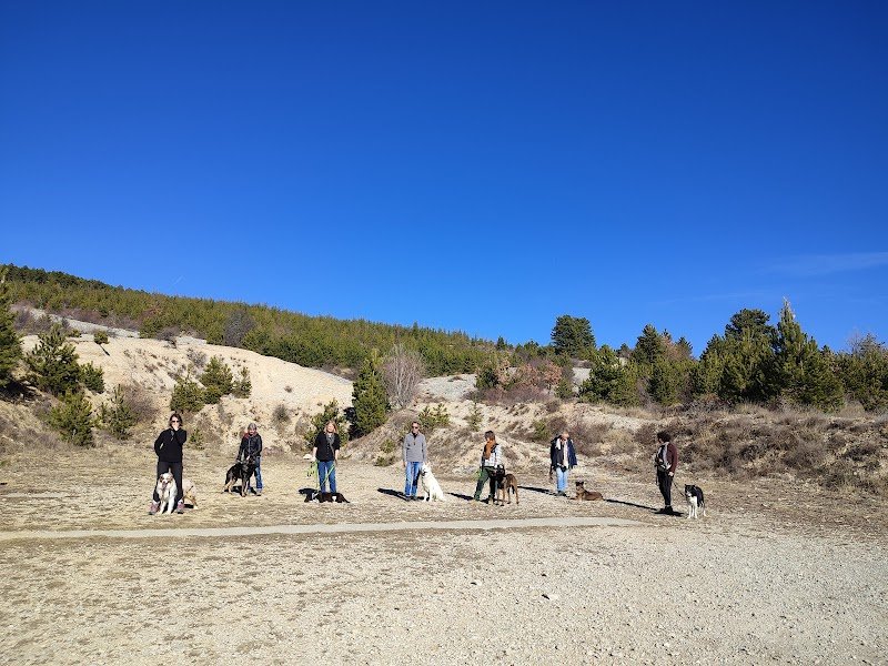 Rossi Nathalie - Education canine et comportementaliste 04 Provence Alpes côte d'azur - photo 2