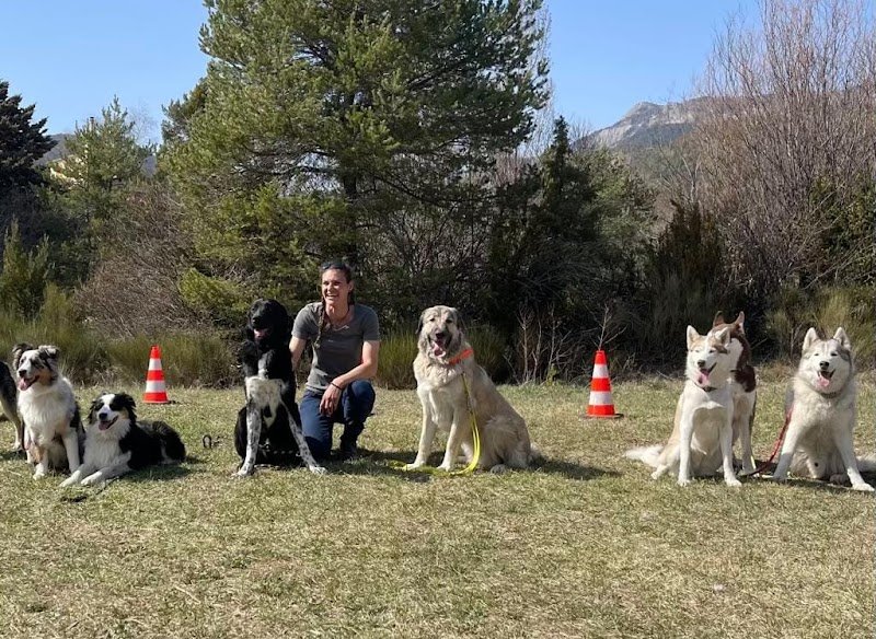 Passion Dog 04 - photo 2