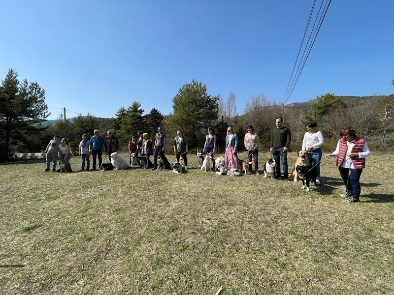 Passion Dog 04 - photo 3