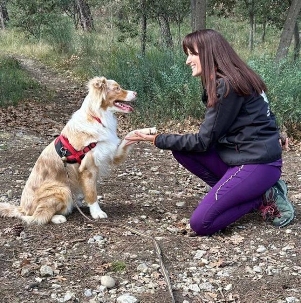 FUN CLUB Binôme Canin - Comportementaliste Canin - Education - Sports & Loisirs - Balades - Centre aéré - Formations - photo 3