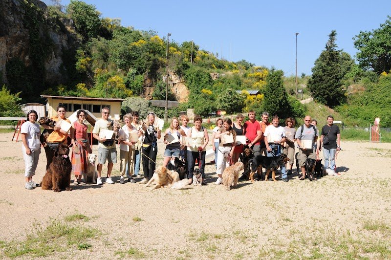 Cercle Canin 06 de Grasse - photo 2