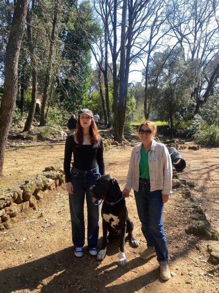 Centre Canin Azur : Éducation canine Alpes-Maritimes 06