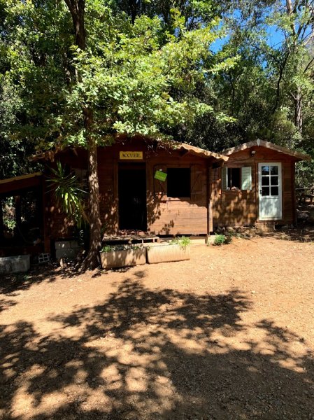 Centre Canin Azur : Éducation canine Alpes-Maritimes 06 - photo 3