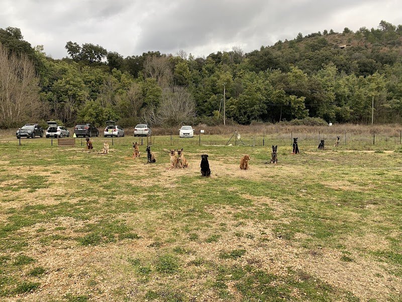 Centre Canin, Le Tignet - photo 1