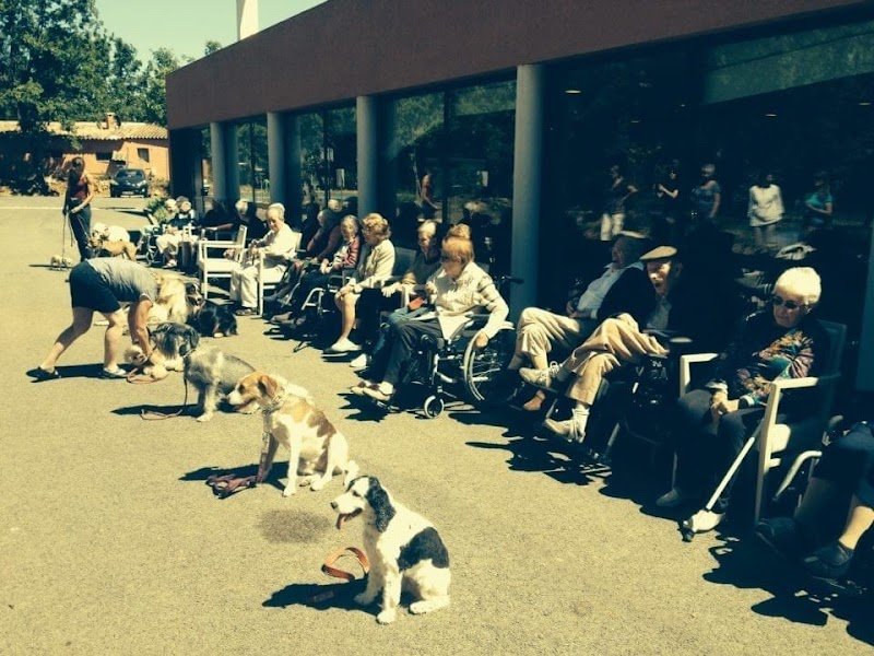 Centre Canin, Le Tignet - photo 2