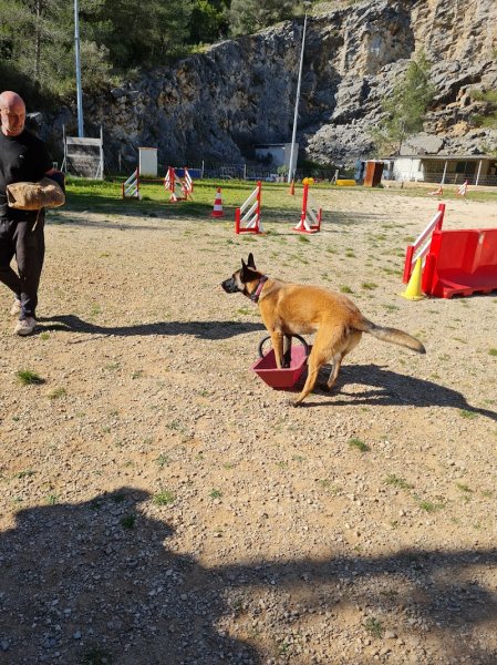 Sporting Club Canin du Revest - photo 3