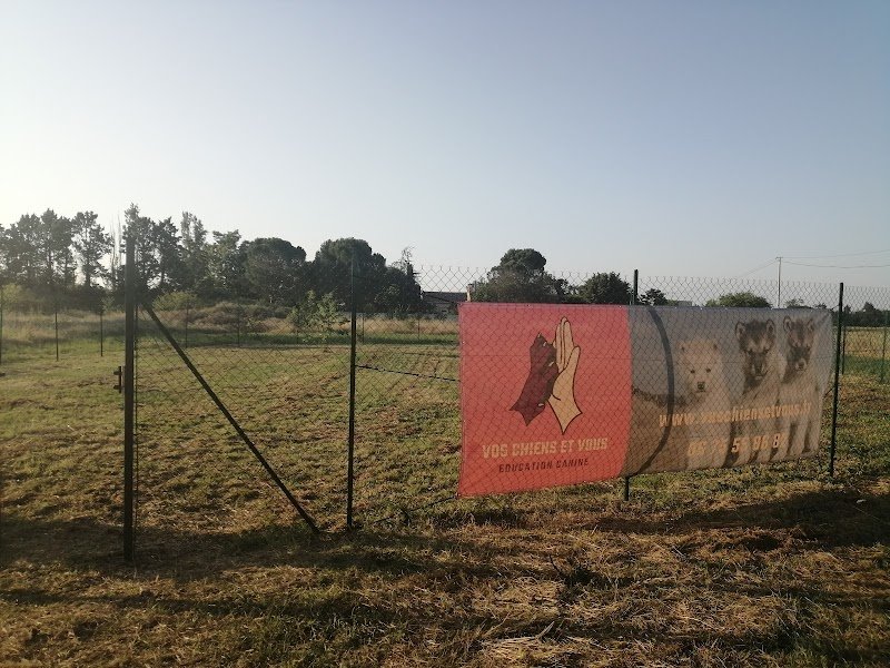 Vos chiens et vous - Éducateur canin comportementaliste Valence - Terrain Sécurisé