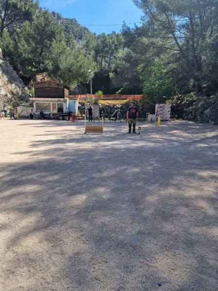 Club Canin Ollioulais De Dressage