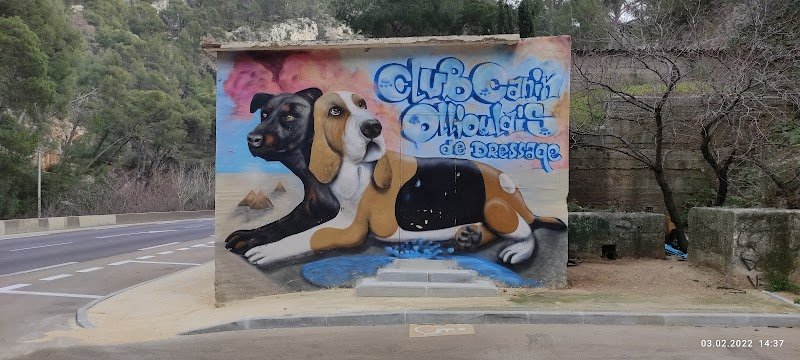 Club Canin Ollioulais De Dressage - photo 3