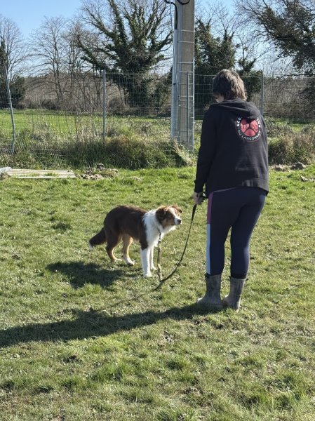 Ecole Canine Du Langonnais