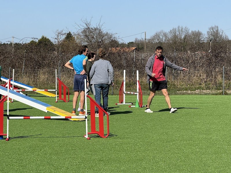 Ecole Canine Du Langonnais - photo 3
