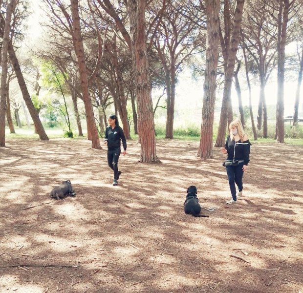 Julie Arestan-Educateur comportementaliste canin - photo 1