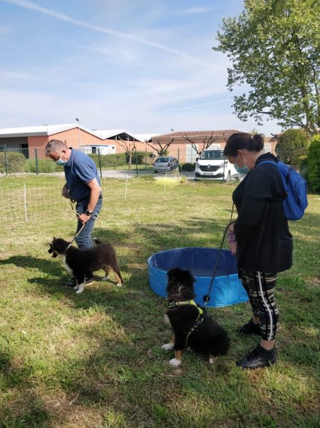 Julie Arestan-Educateur comportementaliste canin - photo 2