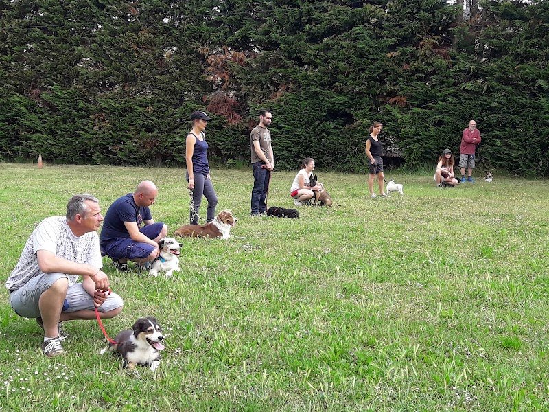 Club canin de Dressage d'Avignon - photo 2
