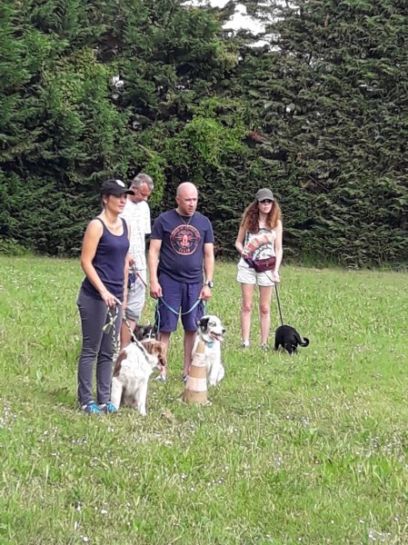 Club canin de Dressage d'Avignon - photo 3