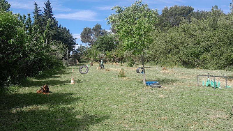 Dog Educ' Centre canin