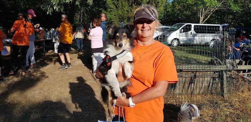 CLUB CANIN D'EDUCATION ET D'AGILITY ORANGEOIS - photo 1