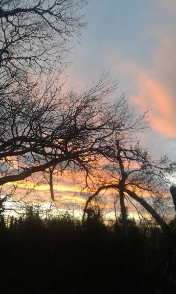 CLUB CANIN D'EDUCATION ET D'AGILITY ORANGEOIS - photo 3