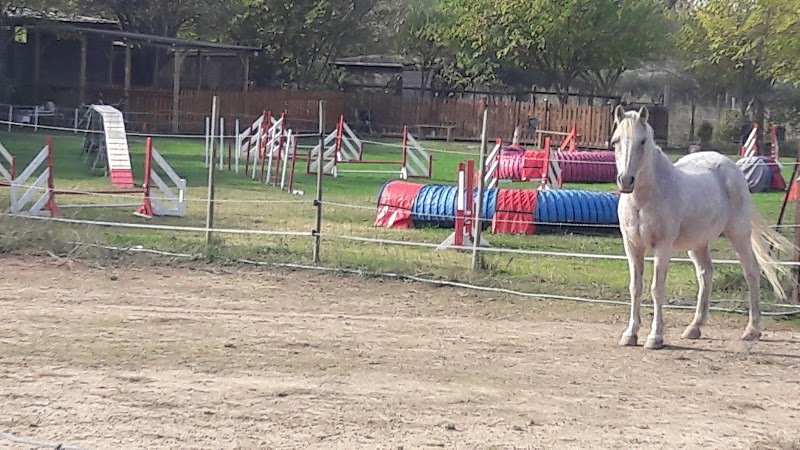 Ecole Canine du Luberon - photo 2