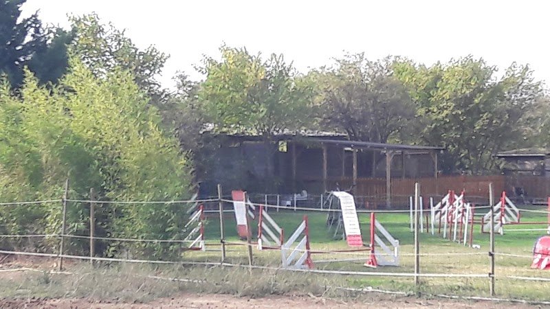 Ecole Canine du Luberon - photo 3