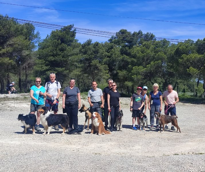 DG EDUC - Éducateur et comportementaliste canin à Plan d’Orgon - photo 1