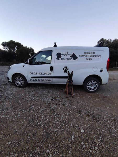 DG EDUC - Éducateur et comportementaliste canin à Plan d’Orgon - photo 3