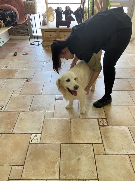 L'atelier Canin - Salon de toilettage - photo 2