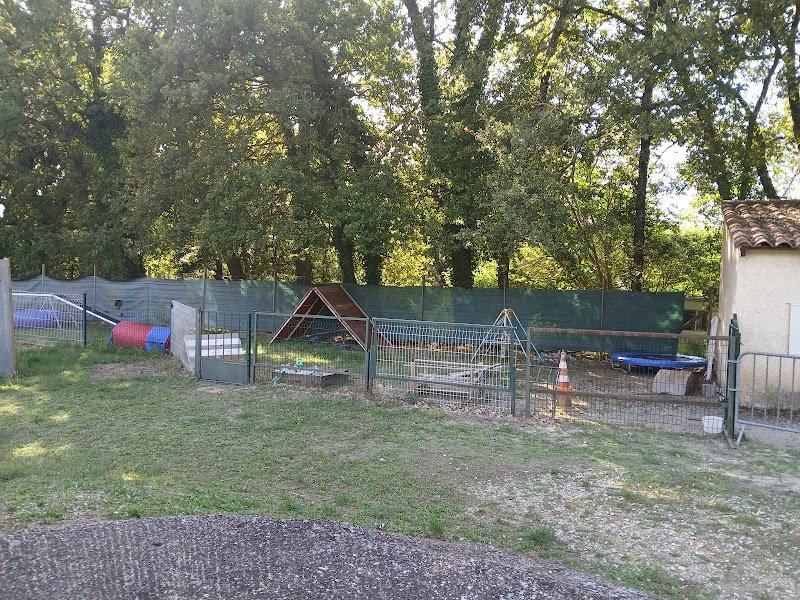 Club Canin Pernois du Chien de Défense - photo 1