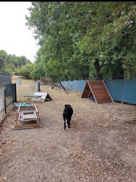 Club Canin Pernois du Chien de Défense - photo 2