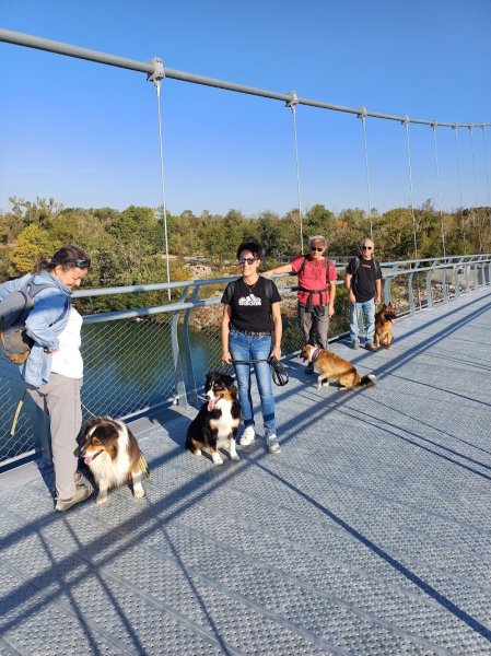 Romain Estevenin Coach Canin (RECC) - photo 1