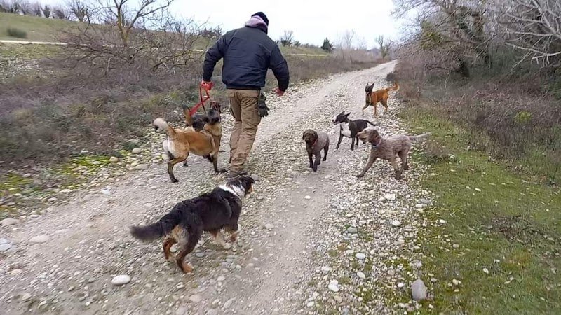 Romain Estevenin Coach Canin (RECC) - photo 2