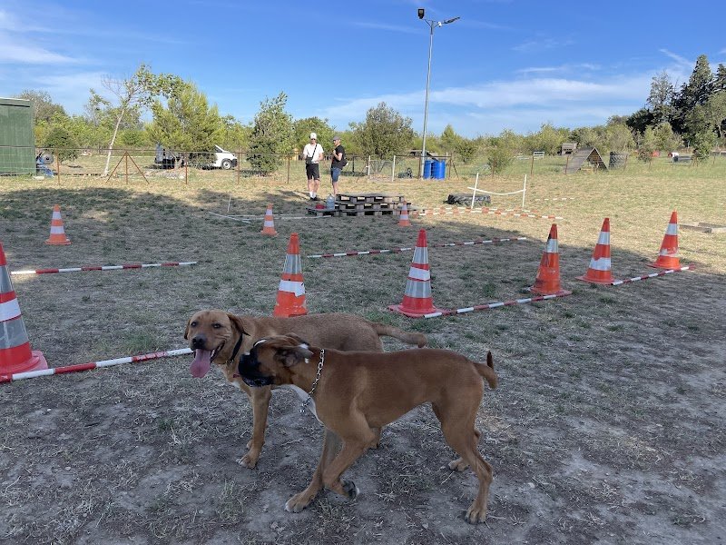 Romain Estevenin Coach Canin (RECC) - photo 3