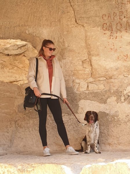 Toutou Va Bien - Éducateur canin, Comportementaliste