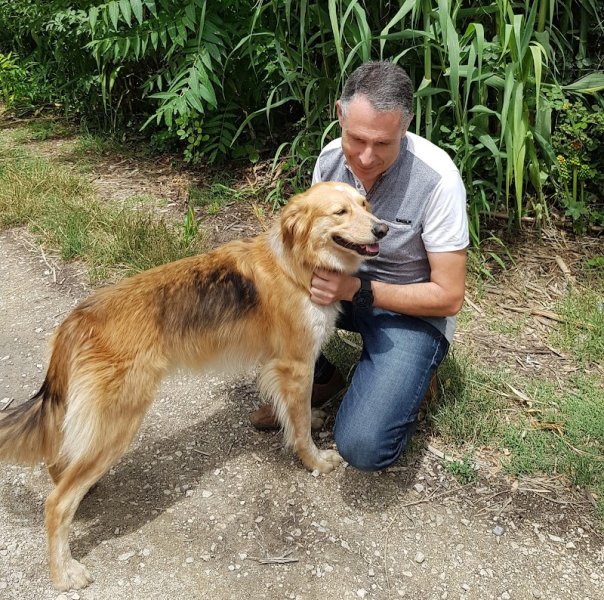 EducaCan - Éducateur Comportementaliste Canin - photo 3