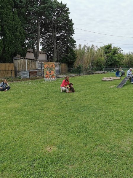 Club Canin St'Sat - photo 1